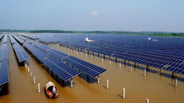 漁光互補的利弊，光伏塘可以養蝦嗎